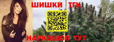 тгк Кунгур